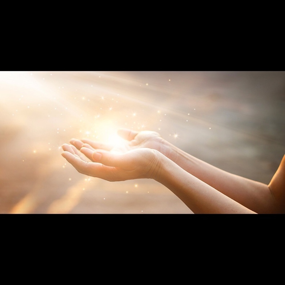 Meet your Posher, Carol